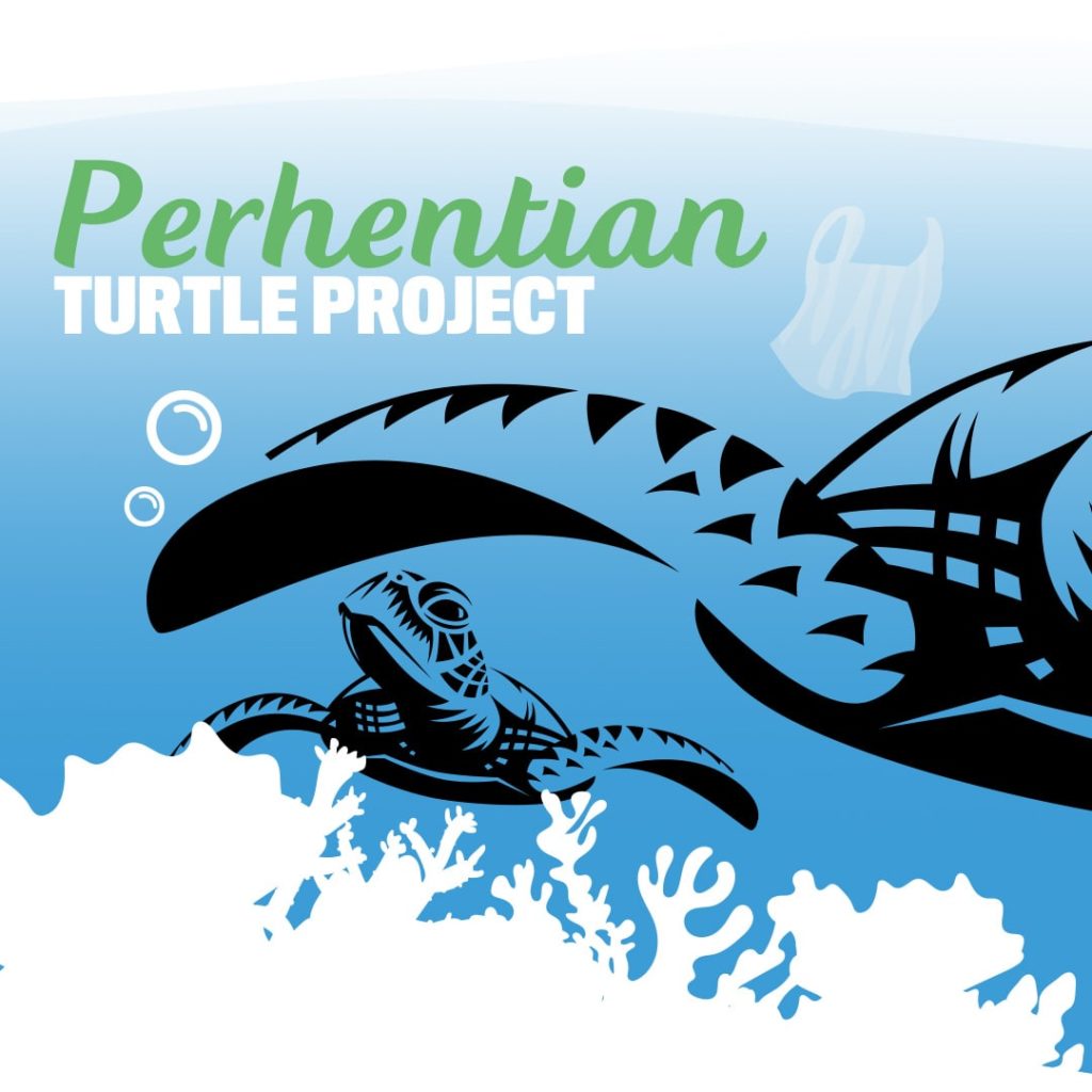 World Seaturtle Day